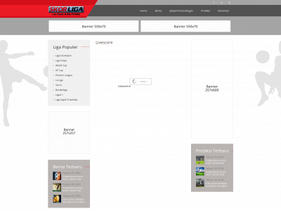 skorliga.com snapshot