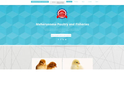 meherunnesapoultryandfisheries.com snapshot
