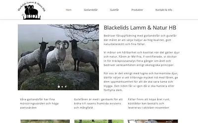 blackelid.se snapshot
