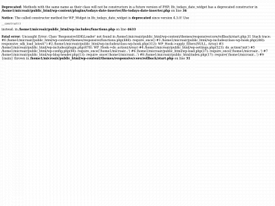 microairusa.com snapshot