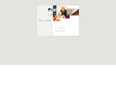 kobs.lt snapshot