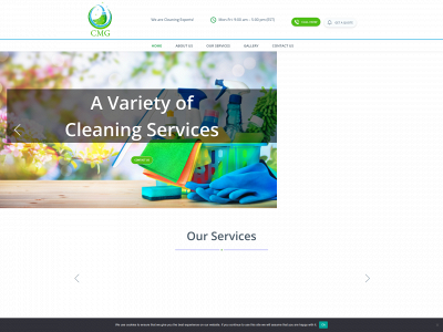 cmgclean.ca snapshot