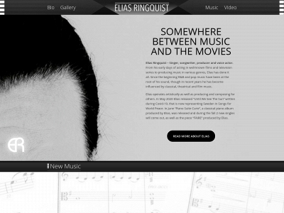 shymusic.com snapshot