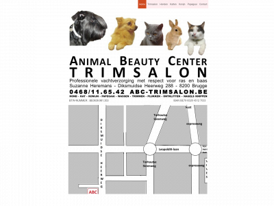 abc-trimsalon.be snapshot