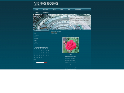 vienasbosas.lt snapshot