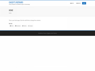 caseysrepairs.com snapshot
