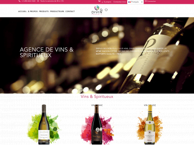 divinparadis.com snapshot