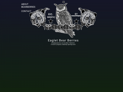 bearberries.com snapshot