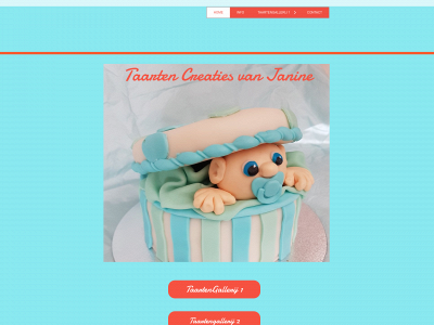 taartencreatiesvanjanine.nl snapshot