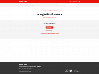 www.auragnelboutique.com snapshot