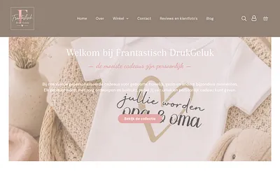 frantastischdrukgeluk.nl snapshot