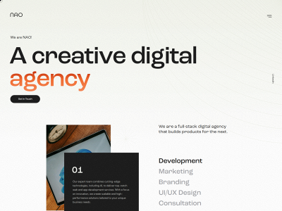naoagency.com snapshot