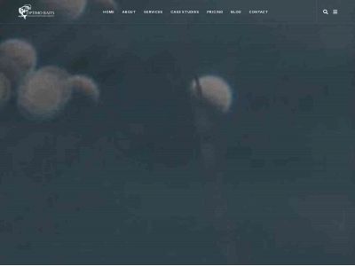 optimo-baits.nl snapshot
