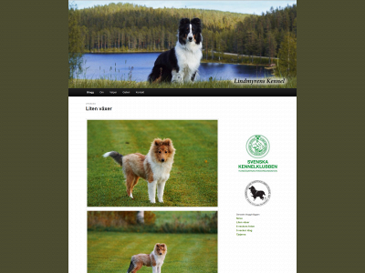 lindmyrens.se snapshot