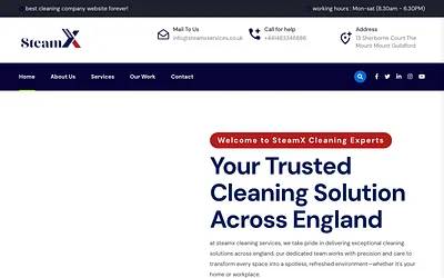 steamxservices.co.uk snapshot
