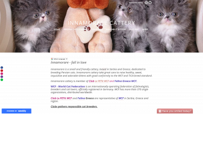 www.innamorarecattery.com snapshot