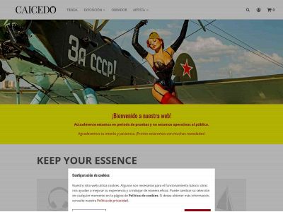 cristiancaicedo.com snapshot