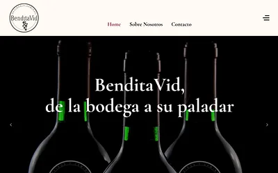 benditavid.com snapshot