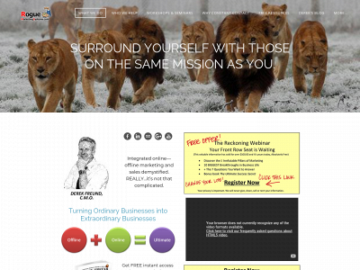 roguemarketingsystems.com snapshot