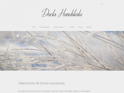 dockshundskola.se snapshot