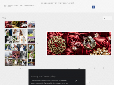 theweddingstory.be snapshot