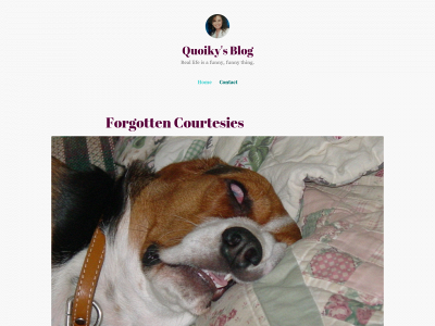 quoiky.com snapshot
