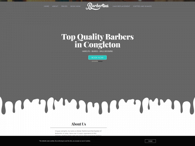 barbertini.co.uk snapshot