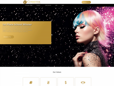 cosmotekcollege.com snapshot