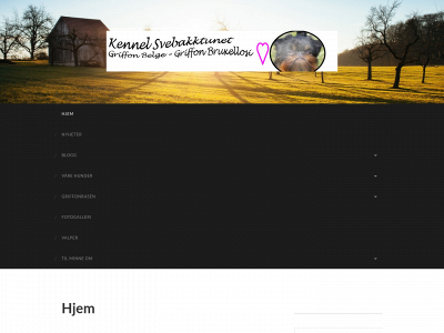 svebakktunet.com snapshot