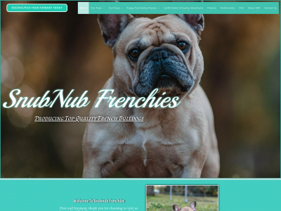snubnubfrenchies.com snapshot