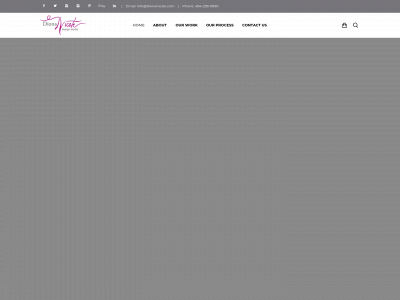 dionanicole.com snapshot