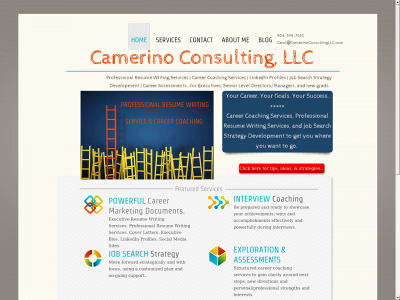 camerinoconsultingllc.com snapshot