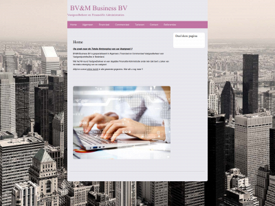 bvmbusiness.nl snapshot