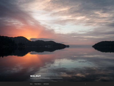 projectwalnut.net snapshot