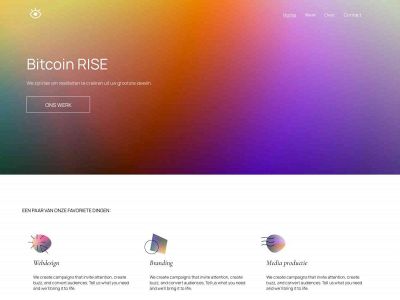 btc-rise.com snapshot