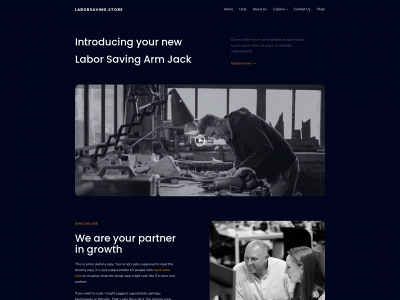 laborsaving.store snapshot