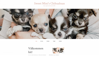 sweetminiskennel.se snapshot