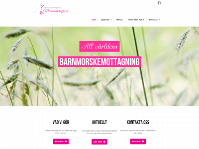 mammaproffsen.se snapshot