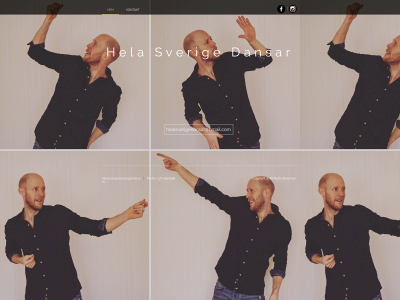 helasverigedansar.se snapshot