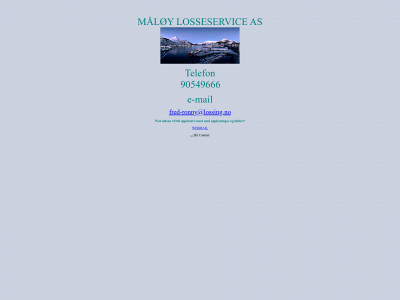 lossing.no snapshot