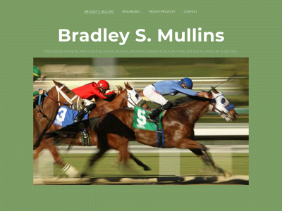 bradleysmullins.com snapshot