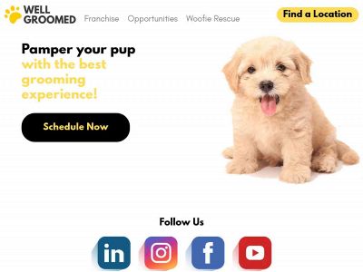 wellgroomedpets.com snapshot