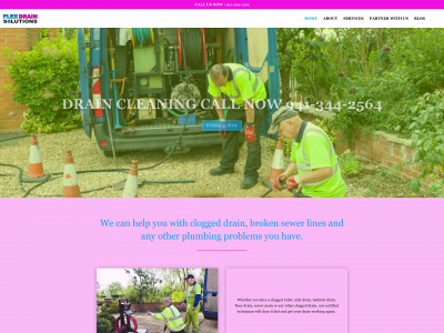 flexdrainsolutions.com snapshot