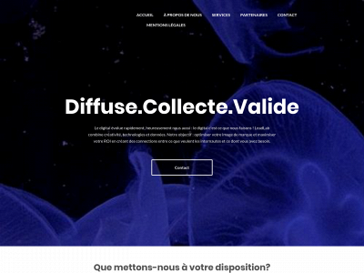 leadlab.fr snapshot