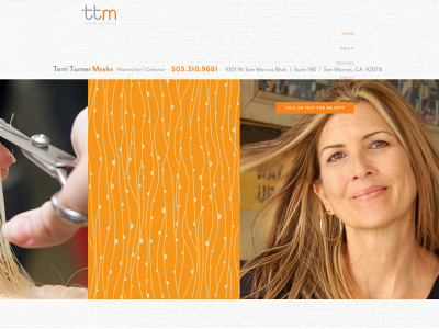 ttmhairstudio.com snapshot