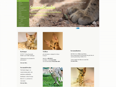 savannahsweden.se snapshot