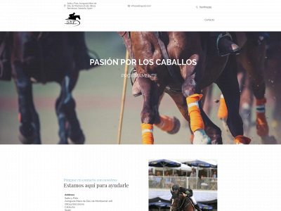 saltoypolo.com snapshot