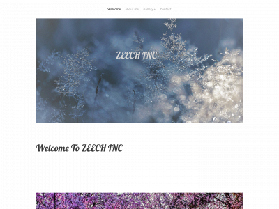 zeech2.weebly.com snapshot