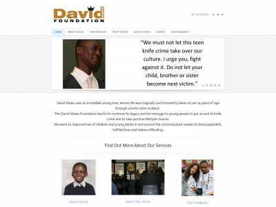 davididowufoundation.org.uk snapshot