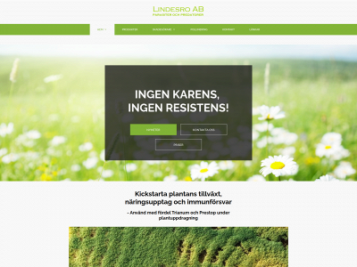 lindesro.se snapshot
